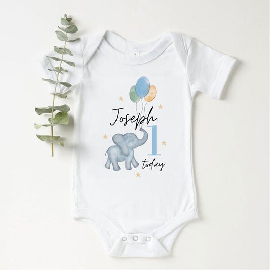 Babies 1st Birthday Elephant Vest